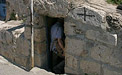 Lazarus' Grab Lazarus' Grab