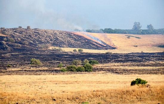 Große Flächen verbrannten im Laufe des Jahres durch Brandstiftung. (© Matthias Hinrichsen)