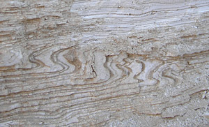 Geologen können durch solche Sedimentverwerfungen Erdbeben erkennen und zeitlich lokalisieren. (Foto: Deutsches GeoForschungsZentrum, ICDP)