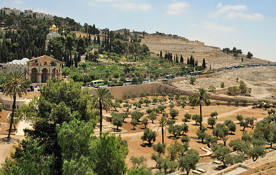 Der Ölberg in Jerusalem ist einer der von Christen meistbesuchten Orte in Israel. Von dort aus hat man einen wunderbaren Panoramablick auf Jerusalem. (© Matthias Hinrichsen)