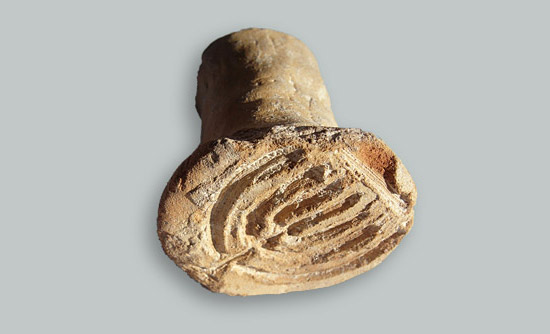 Dieser antike Brotstempel wurde in der Nähe von Akko gefunden. (© Dr. Danny Syon/Israelische Altertumsbehörde)