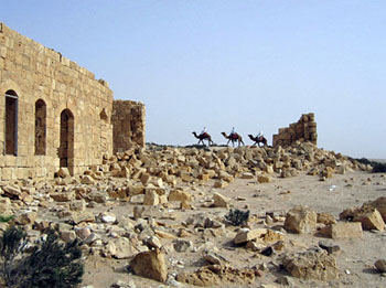Verbliebene Ruinen der alten nabatäischen Handelsstadt Chalutza. (© Phoenix)