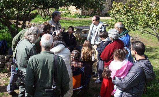 Führung durch das Jerusalem Vogel Observatorium. (© Jerusalem Bird Observatory)