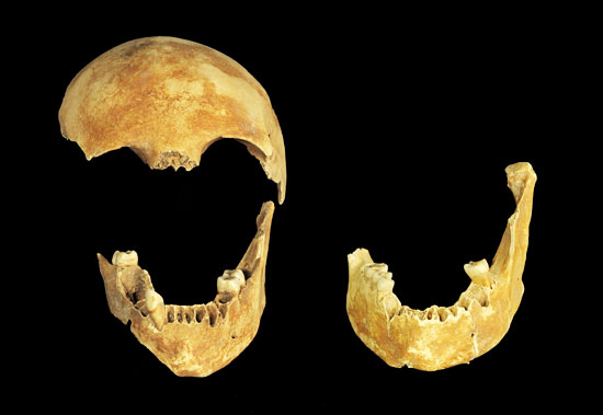 8.500 Jahre alte menschliche Überreste. (© IAA)