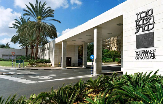 Das Weizmann-Institut in Israel übernimmt Aufgaben in der europäischen Gehirnforschung. (© Weizmann Institute of Science)