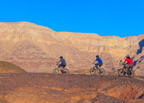 Mountain-Biking ist bei Israelis sehr beliebt, weil insbesondere die Wüstenregion eine große Herausforderung darstellt. (© IGTO/Dafna Tal)