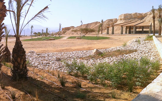 In Kikar Sodom werden süße Früchte mit salzigem Wasser gezüchtet. (© Regional Council Tamar)