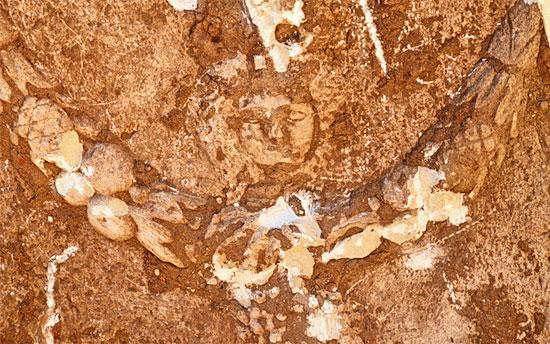 Deutlich sind die Spuren der unsachgemäßen Bergung zu sehen. (© Yoli Schwartz/IAA)