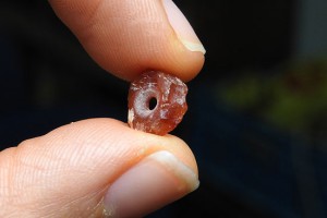 Klein, aber sehr bedeutend: 7.000 Jahre alte Perle. (© Ronit Lupo/IAA)
