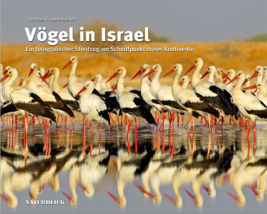 "Vögel in Israel", ein fantastisches Buch über die einmalige Natur. (© Naturblick-Verlag)