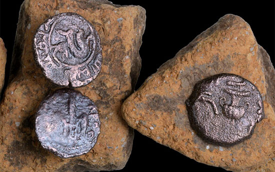 Die Münzen stammen allesamt aus der Römerzeit. (© Clara Amit,/IAA)