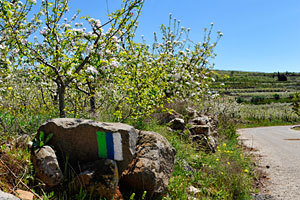 Golan Trail