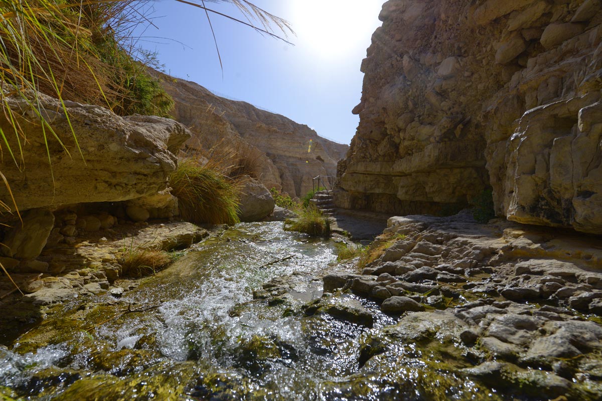 En Gedi - Wadi David