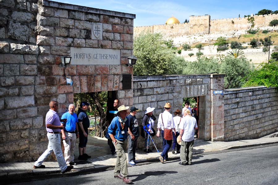 Zugang Garten Gethsemane Ölberg Jerusalem