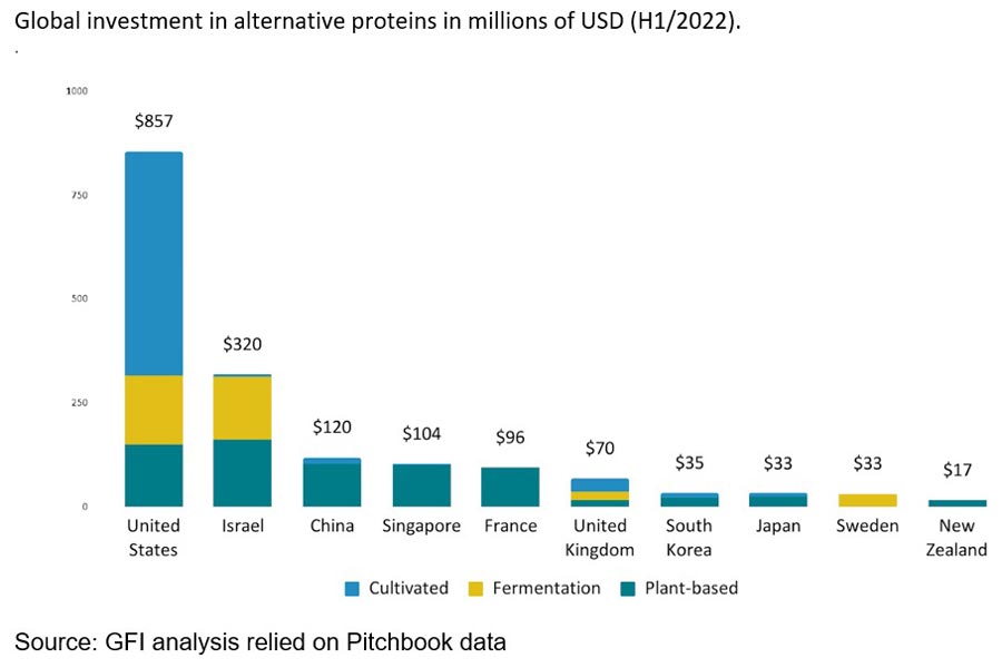 Investitionen weltweit in Fleisch-Ersatzprodukte.