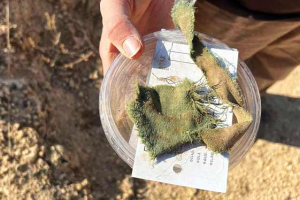 Antike Stoffreste in Israel gefunden